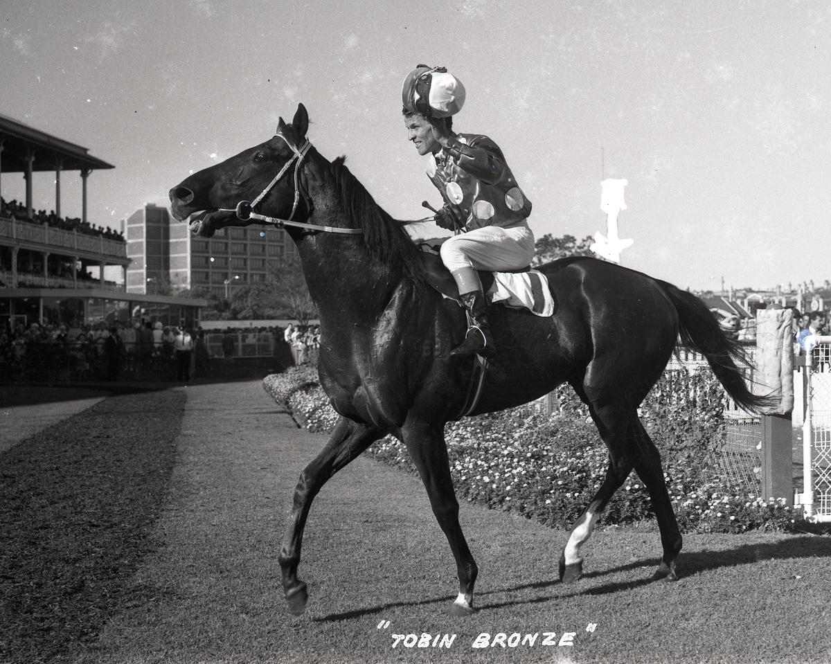 Tobin Bronze Australian Racing Museum